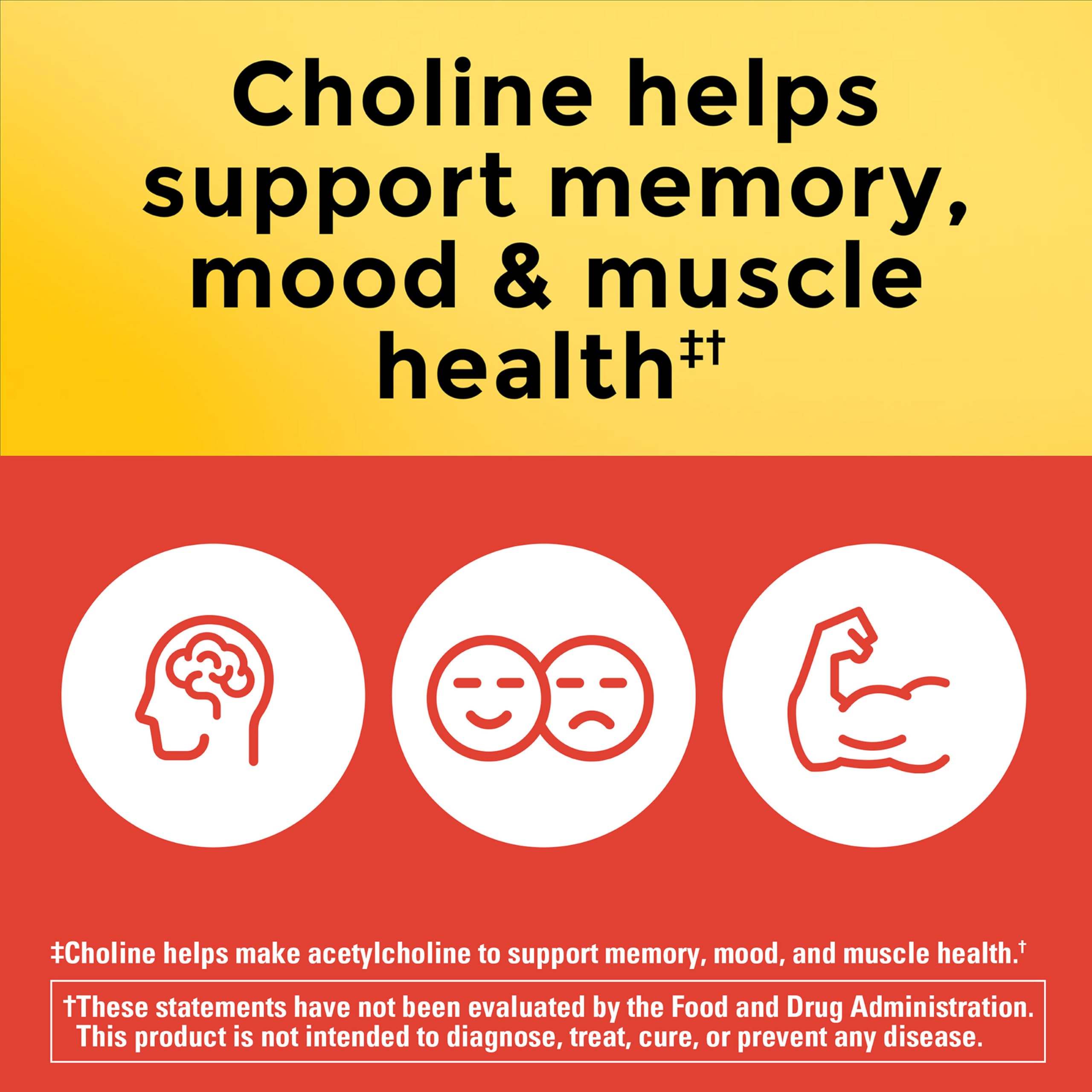 Nature Made Extra Strength Dosage Choline Supplements 800 Mg Per 3 Capsules, Brain Health, Mood, Muscle & Liver Support, Vegetarian, 60 Capsules, 20 Day Supply - Image 3