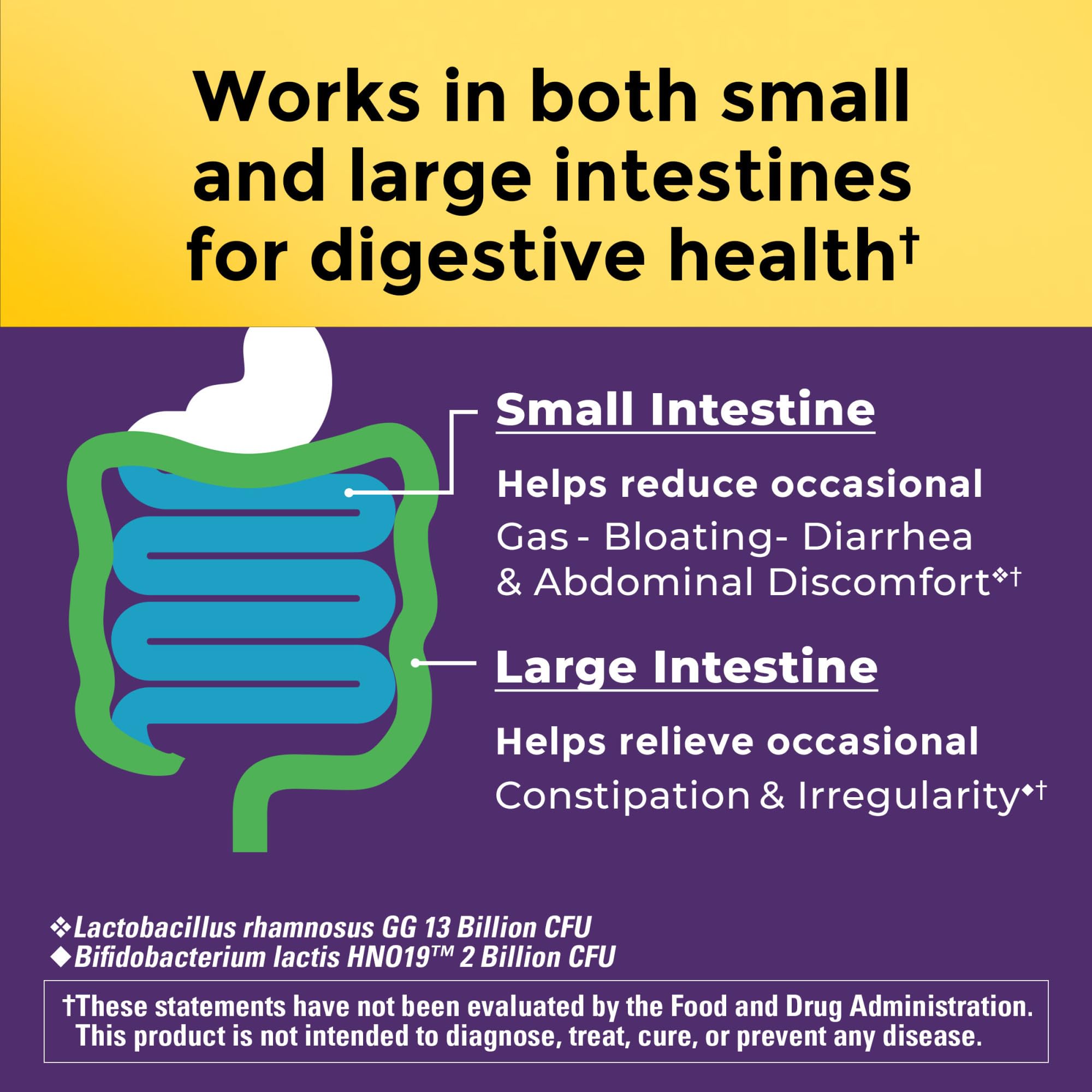 Nature Made Probiotics for Digestive Health Extra Strength 15 Billion CFU from Live Cultures, Probiotics for Women and Men, 30 Probiotic Capsules, 30 Day Supply - Image 4